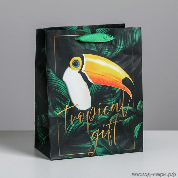 Пакет подар. бум. 18х23х10см "Tropical gift"
